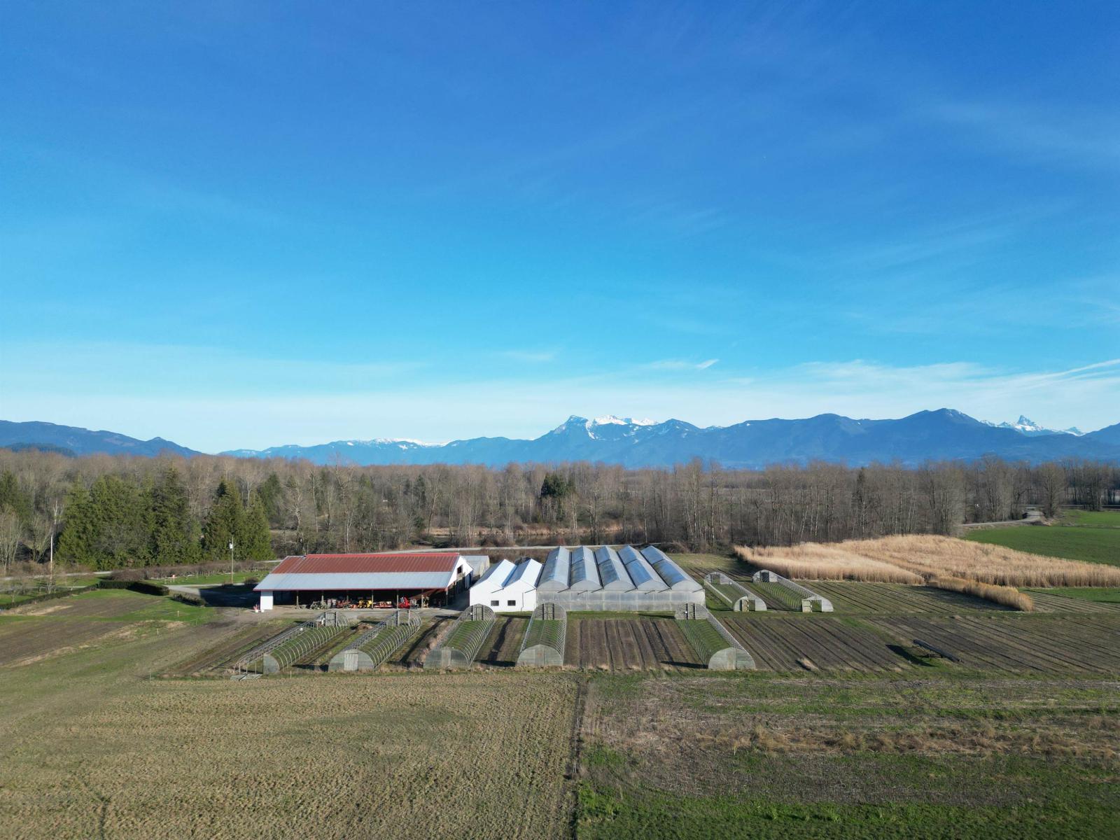 9974 Tremblay Road, Mission, British Columbia  V0M 1G0 - Photo 33 - C8079342