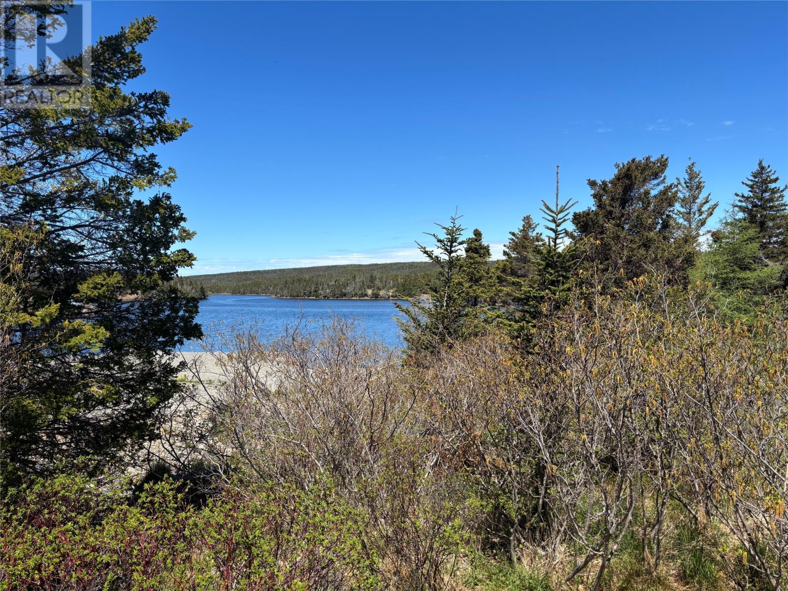 421-425 South East Road, Placentia, Newfoundland & Labrador  A0B 2Y0 - Photo 6 - 1298805