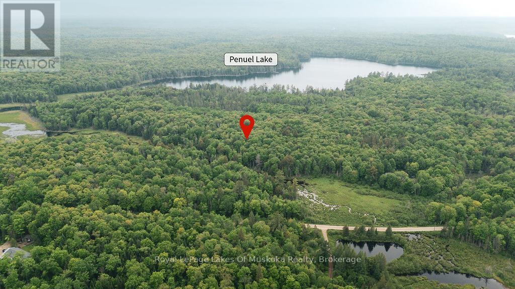 254 Expressway Road, Perry, Ontario P0A 1J0 - Photo 2 - X13426638