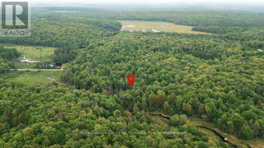 254 Expressway Road, Perry, Ontario P0A 1J0 - Photo 3 - X13426638