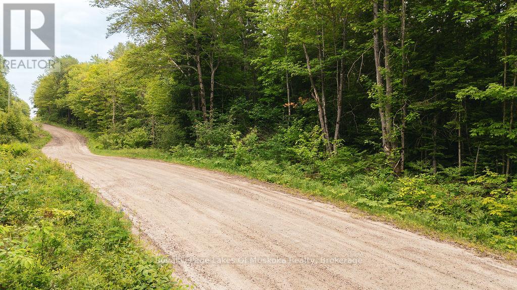 254 Expressway Road, Perry, Ontario P0A 1J0 - Photo 4 - X13426638
