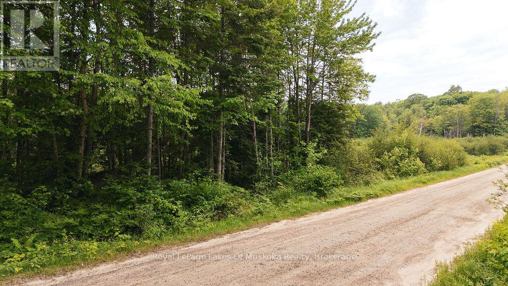 254 Expressway Road, Perry, Ontario P0A 1J0 - Photo 5 - X13426638