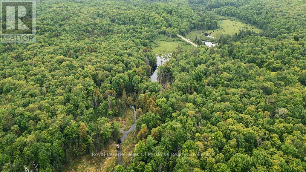 254 Expressway Road, Perry, Ontario P0A 1J0 - Photo 6 - X13426638