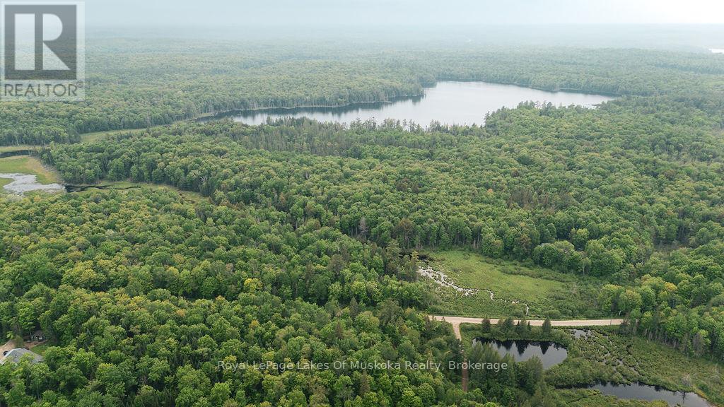254 Expressway Road, Perry, Ontario P0A 1J0 - Photo 9 - X13426638