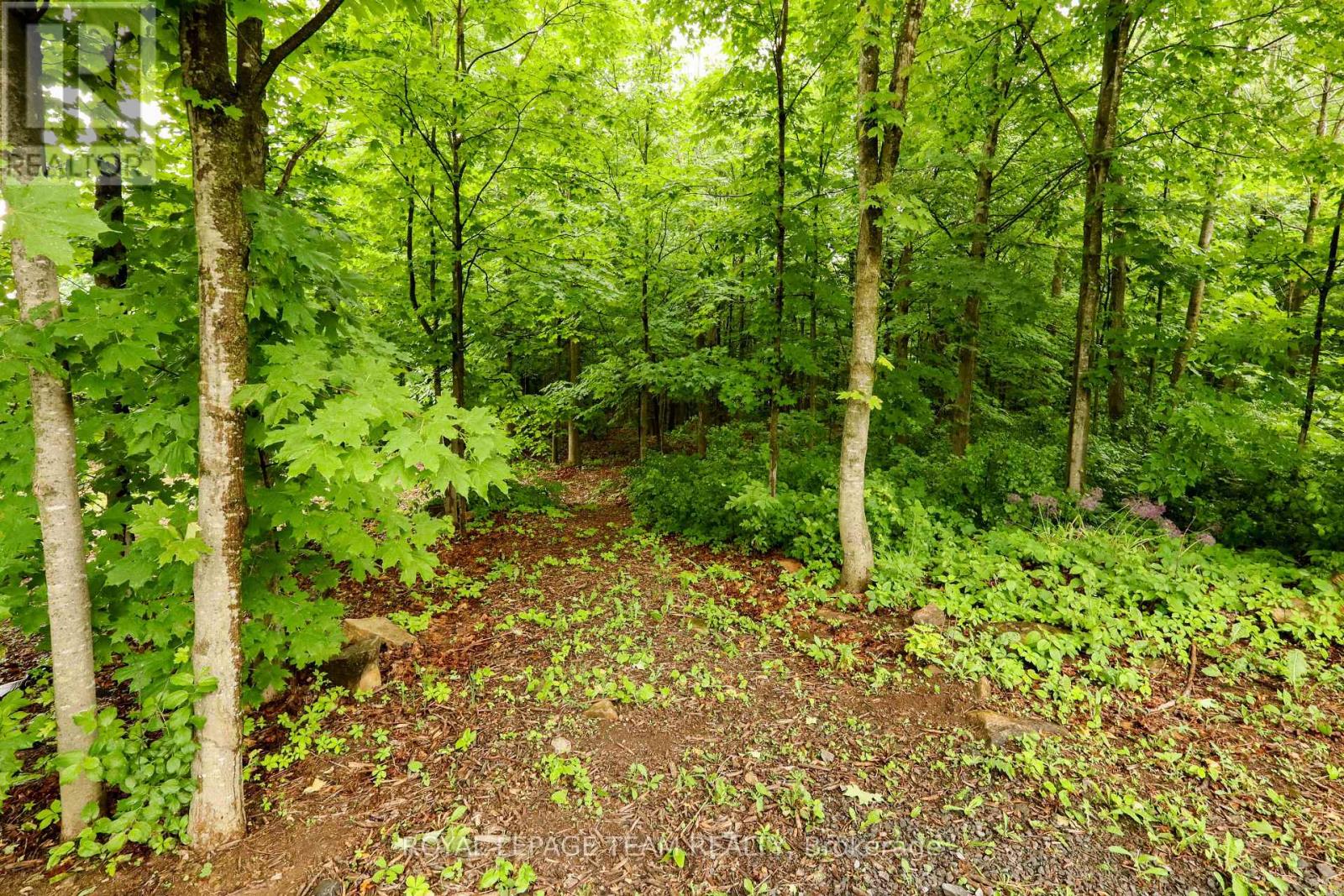 Pt5 Con11 Ormond Road, North Dundas, Ontario  K0C 2K0 - Photo 4 - X13054078