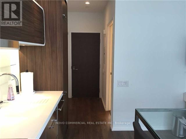 203 - 45 Charles Street E, Toronto, Ontario  M4Y 0B8 - Photo 3 - C13426460