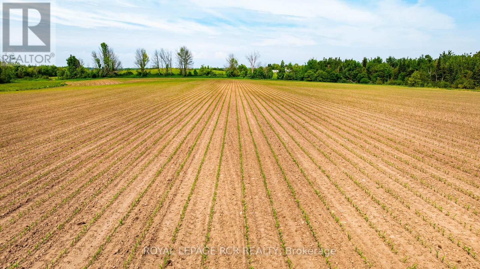 515273 2nd Line, Amaranth, Ontario  L9W 0Y8 - Photo 8 - X13414810