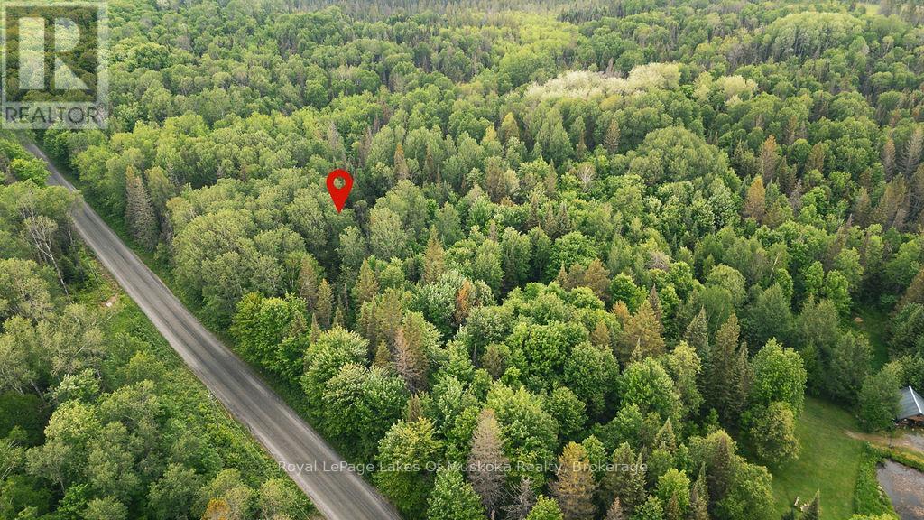 0 Ely Side Road, Armour, Ontario  P0A 1C0 - Photo 2 - X13426918