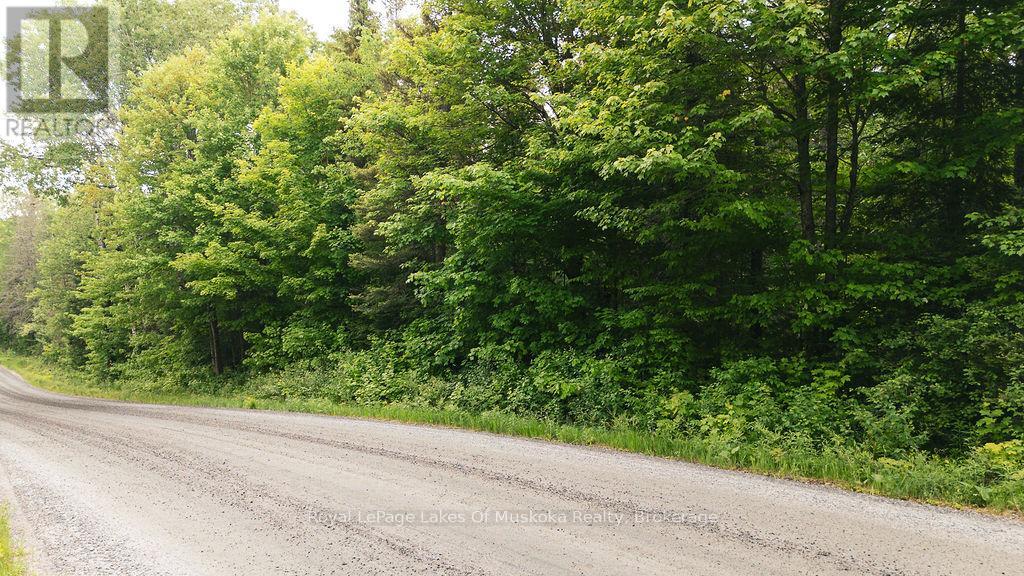 0 Ely Side Road, Armour, Ontario  P0A 1C0 - Photo 3 - X13426918