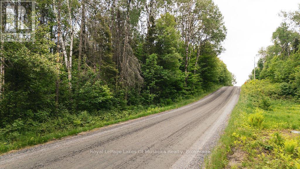 0 Ely Side Road, Armour, Ontario  P0A 1C0 - Photo 4 - X13426918