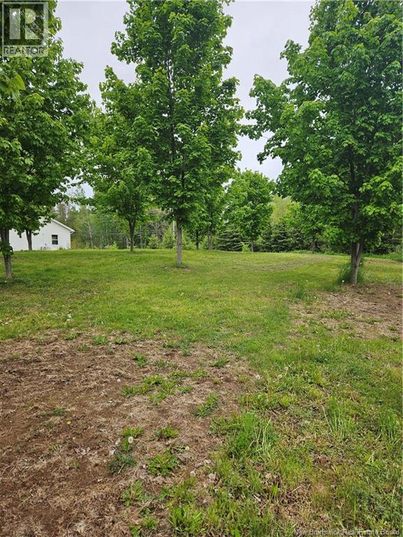 475 Route 124, Norton, New Brunswick  E5T 1R3 - Photo 47 - NB138835