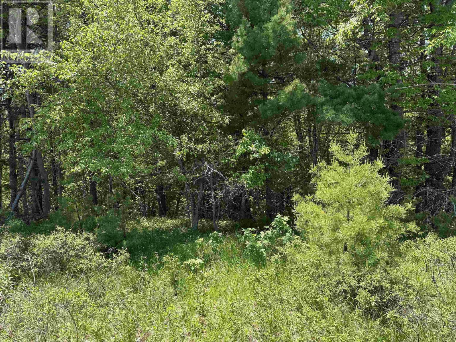 Lot 226 Hawthorn Road, Mahone Bay, Nova Scotia  B0J 2E0 - Photo 10 - 202601693