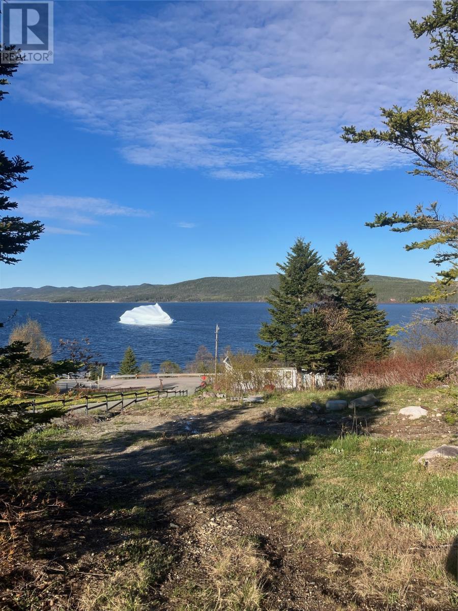 217 Main Street, King's Point, Newfoundland & Labrador A0J 1H0 - Photo 3 - 1298814