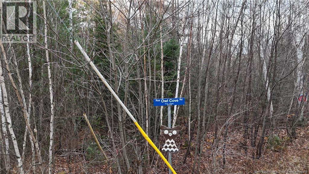 Owl Cove Lane, Big Cove, New Brunswick  E5T 0E2 - Photo 12 - NB141643