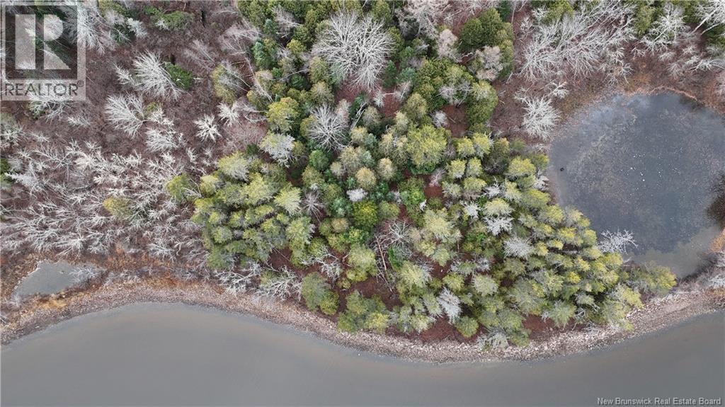 Owl Cove Lane, Big Cove, New Brunswick  E5T 0E2 - Photo 8 - NB141643