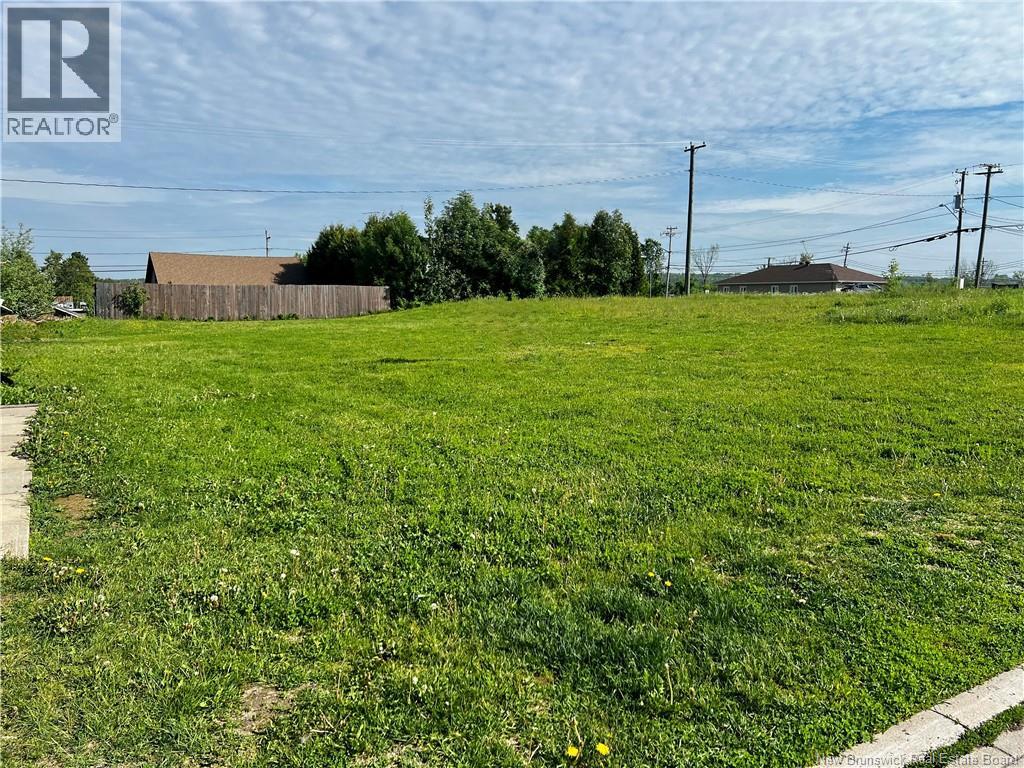 326 Broadway Boulevard, Grand Falls, New Brunswick  E3Z 2K4 - Photo 3 - NB141473