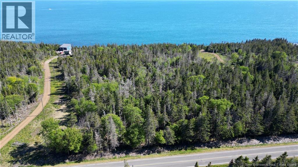 Lot 05-14 Route 776, Grand Manan, New Brunswick  E5G 4K5 - Photo 4 - NB141055