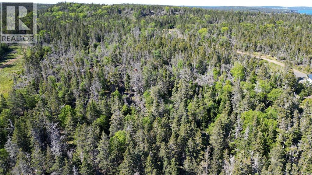 Lot 05-14 Route 776, Grand Manan, New Brunswick  E5G 4K5 - Photo 9 - NB141055