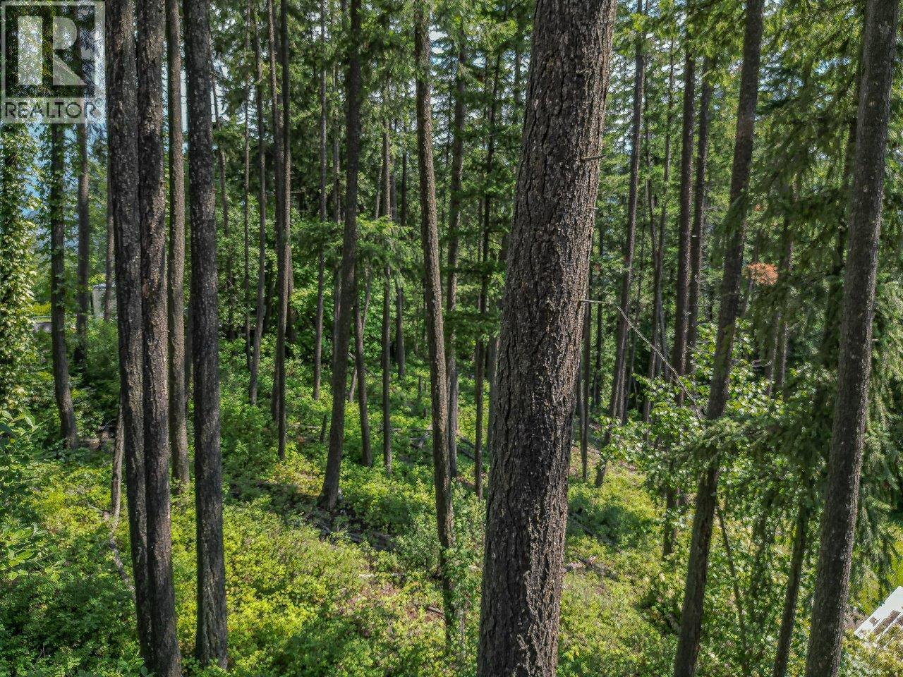 Lot 25 Forest View Place, Blind Bay, British Columbia  V0E 1H1 - Photo 23 - 10278634