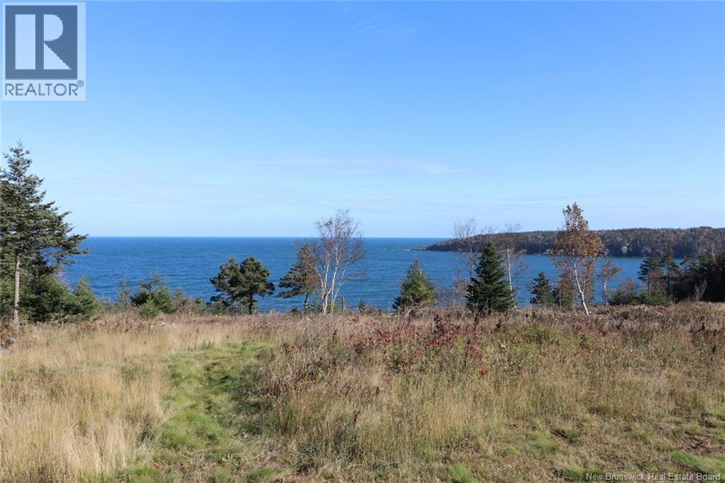 Lot 10-02 Golden Mile Drive, Grand Manan, New Brunswick  E5G 1N1 - Photo 25 - NB141645