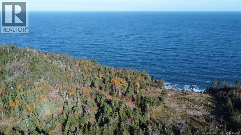 Lot 10-02 Golden Mile Drive, Grand Manan, New Brunswick  E5G 1N1 - Photo 8 - NB141645