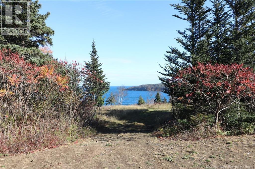 Lot 10-01 Golden Mile Drive, Grand Manan, New Brunswick  E5G 1N1 - Photo 19 - NB141569