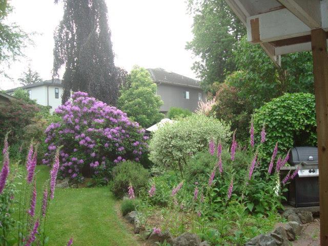 13130 110 Avenue, Surrey, British Columbia  V3T 2P9 - Photo 3 - R3134190