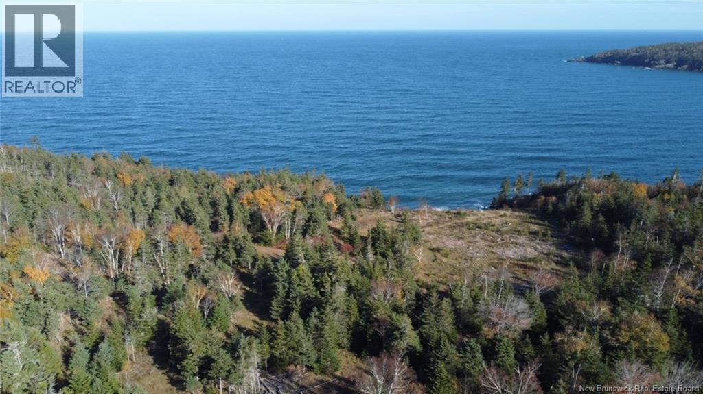 Lot 10-03 Golden Mile Drive, Grand Manan, New Brunswick  E5G 1N1 - Photo 6 - NB141648