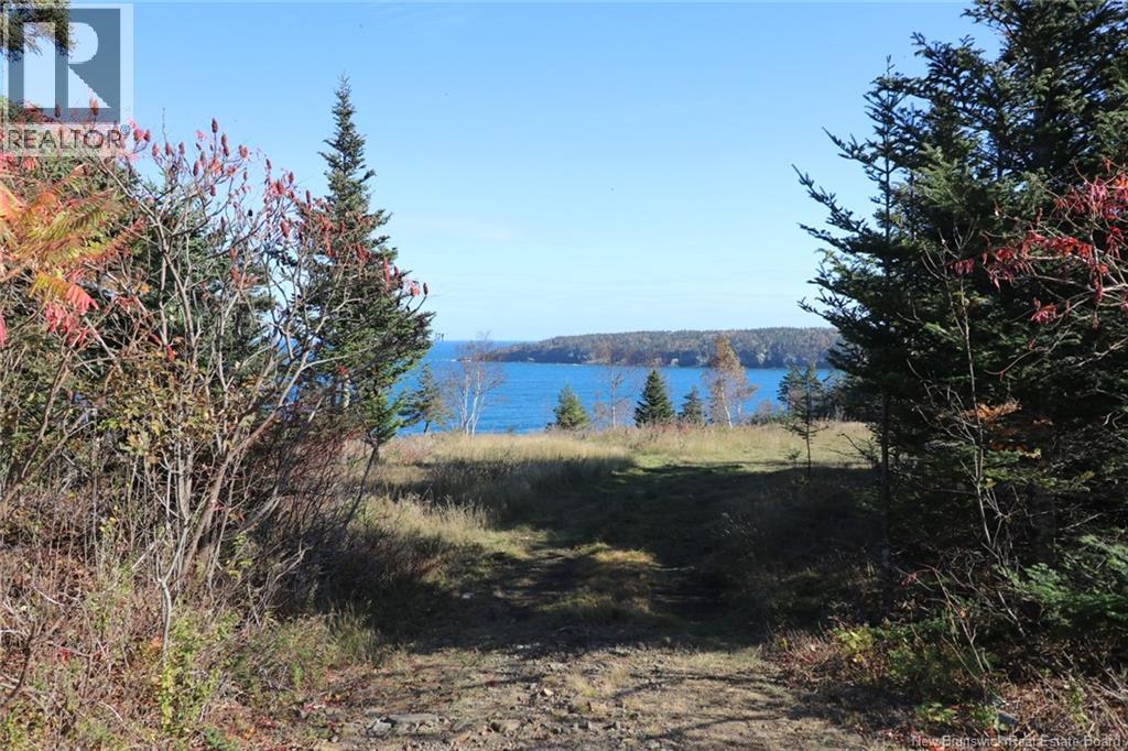 Lot 10-03 Golden Mile Drive, Grand Manan, New Brunswick  E5G 1N1 - Photo 20 - NB141648