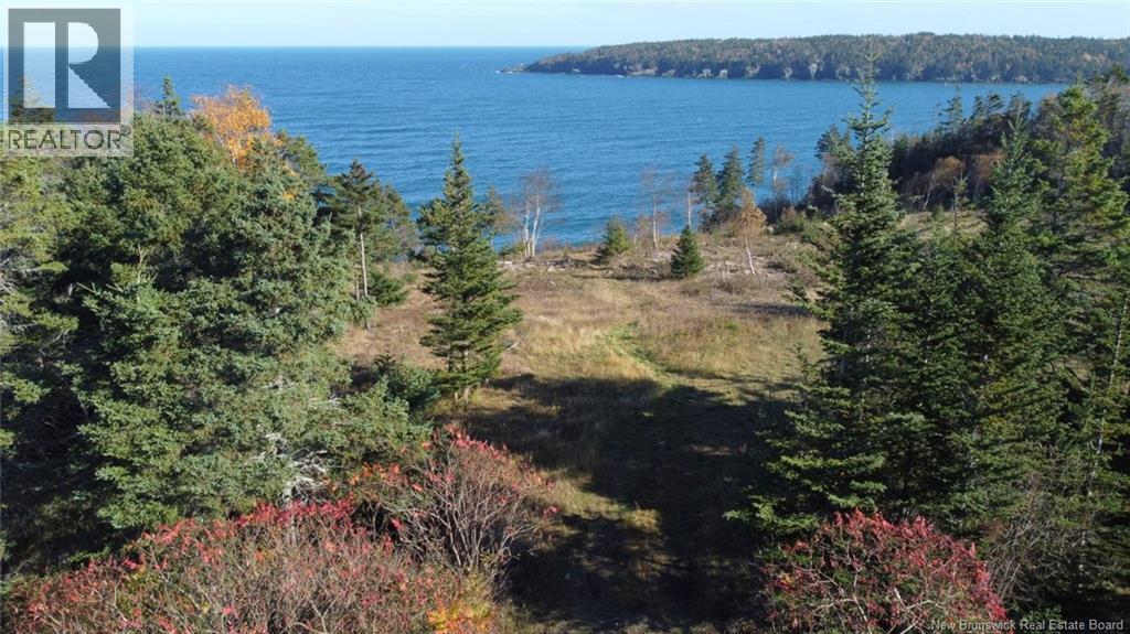 Lot 10-03 Golden Mile Drive, Grand Manan, New Brunswick  E5G 1N1 - Photo 10 - NB141648