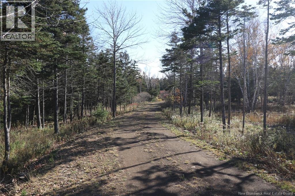 Lot 10-03 Golden Mile Drive, Grand Manan, New Brunswick  E5G 1N1 - Photo 16 - NB141648
