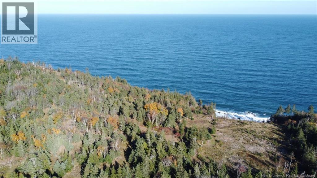 Lot 10-03 Golden Mile Drive, Grand Manan, New Brunswick  E5G 1N1 - Photo 7 - NB141648