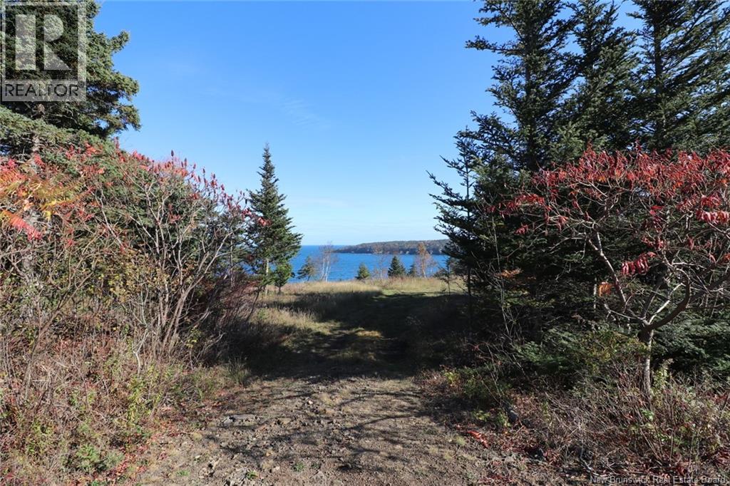 Lot 10-03 Golden Mile Drive, Grand Manan, New Brunswick  E5G 1N1 - Photo 17 - NB141648