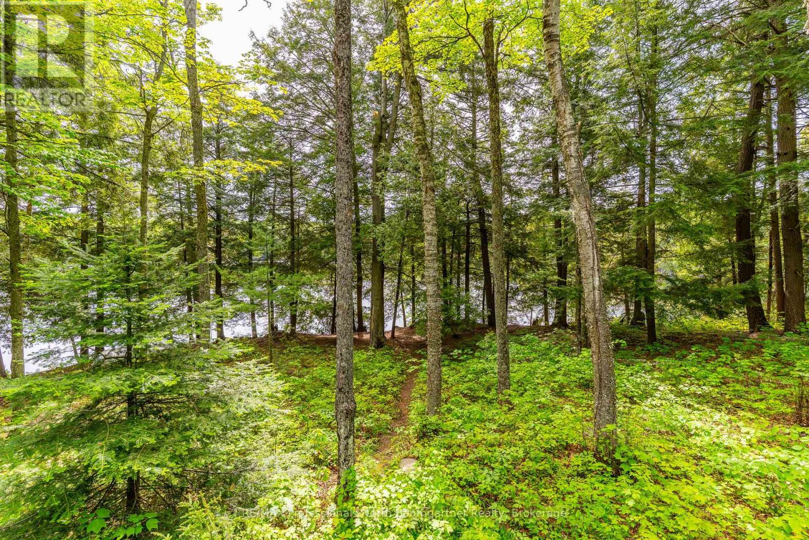2362 Minnicock Lake Road, Highlands East, Ontario  K0M 1S0 - Photo 40 - X13427758
