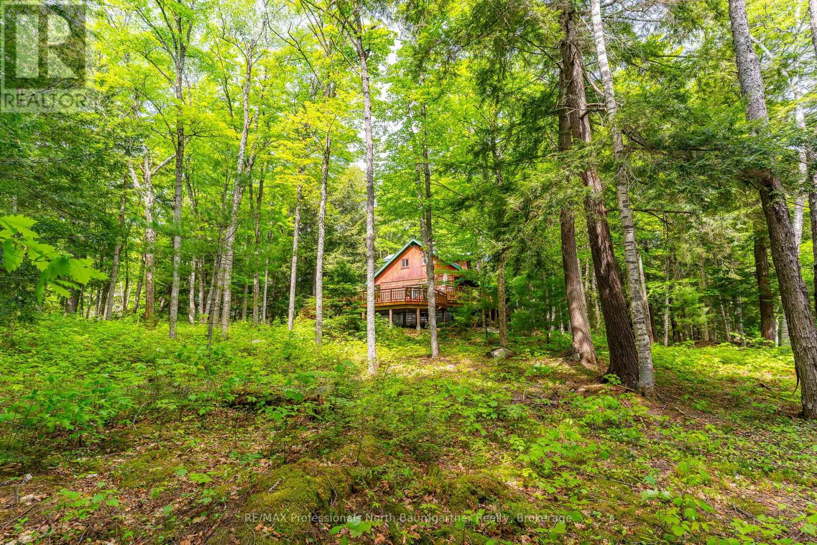 2362 Minnicock Lake Road, Highlands East, Ontario  K0M 1S0 - Photo 43 - X13427758