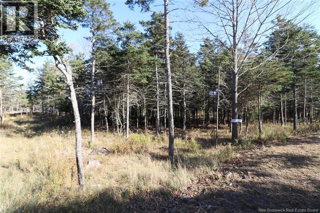 Lot 10-04 Golden Mile Drive, Grand Manan, New Brunswick  E5G 1N1 - Photo 16 - NB141651