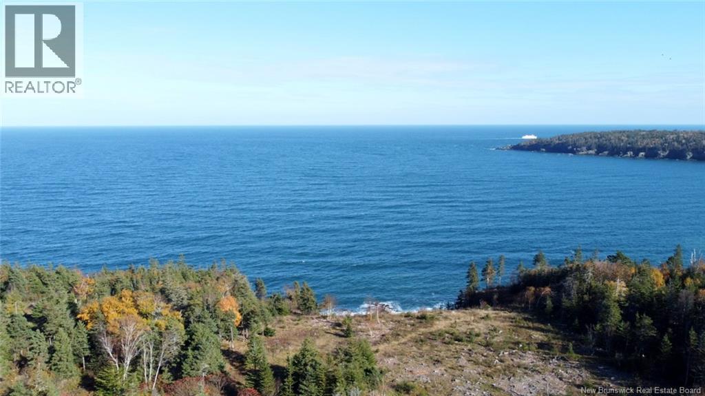 Lot 10-04 Golden Mile Drive, Grand Manan, New Brunswick  E5G 1N1 - Photo 6 - NB141651
