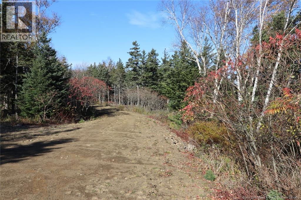 Lot 10-05 Golden Mile Drive, Grand Manan, New Brunswick  E5G 1N1 - Photo 24 - NB141652
