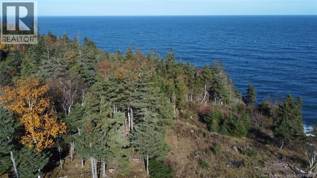 Lot 10-05 Golden Mile Drive, Grand Manan, New Brunswick  E5G 1N1 - Photo 14 - NB141652