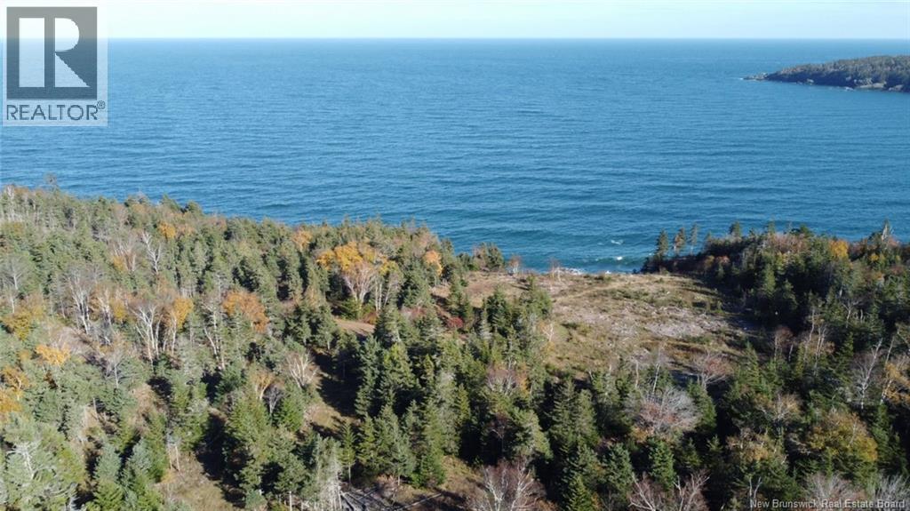 Lot 10-05 Golden Mile Drive, Grand Manan, New Brunswick  E5G 1N1 - Photo 7 - NB141652