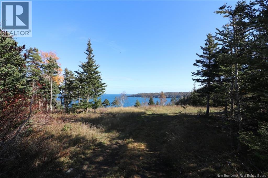 Lot 10-06 Golden Mile Drive, Grand Manan, New Brunswick  E5G 1N1 - Photo 25 - NB141654