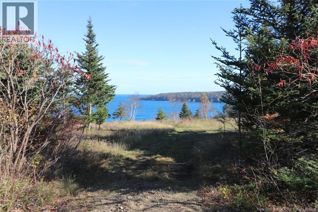 Lot 10-06 Golden Mile Drive, Grand Manan, New Brunswick  E5G 1N1 - Photo 20 - NB141654