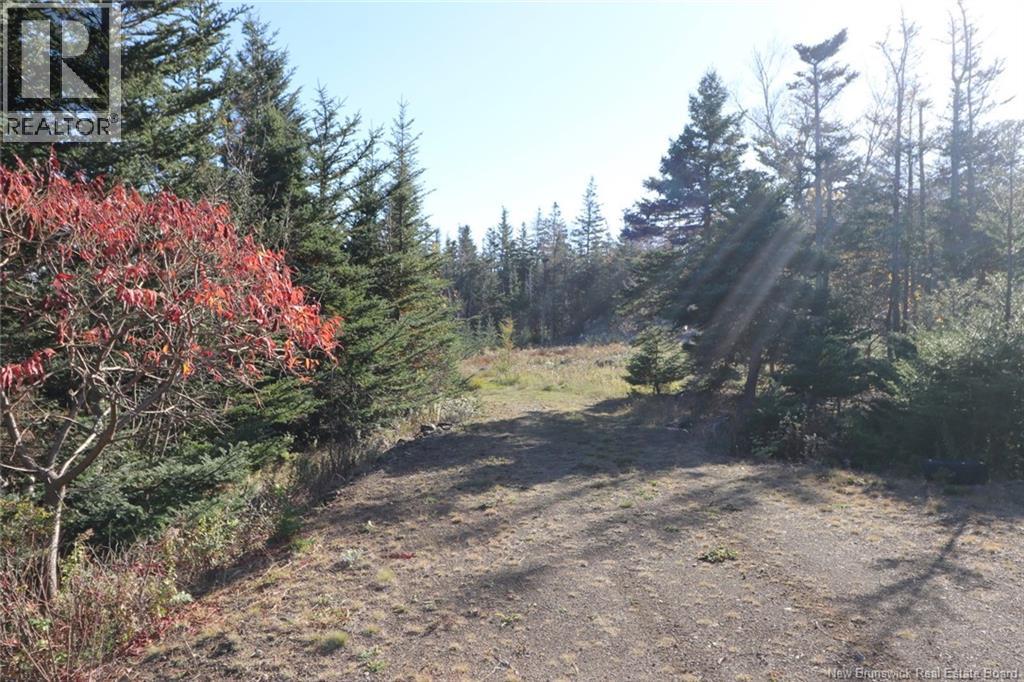 Lot 10-06 Golden Mile Drive, Grand Manan, New Brunswick  E5G 1N1 - Photo 23 - NB141654