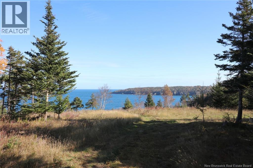 Lot 10-06 Golden Mile Drive, Grand Manan, New Brunswick  E5G 1N1 - Photo 26 - NB141654