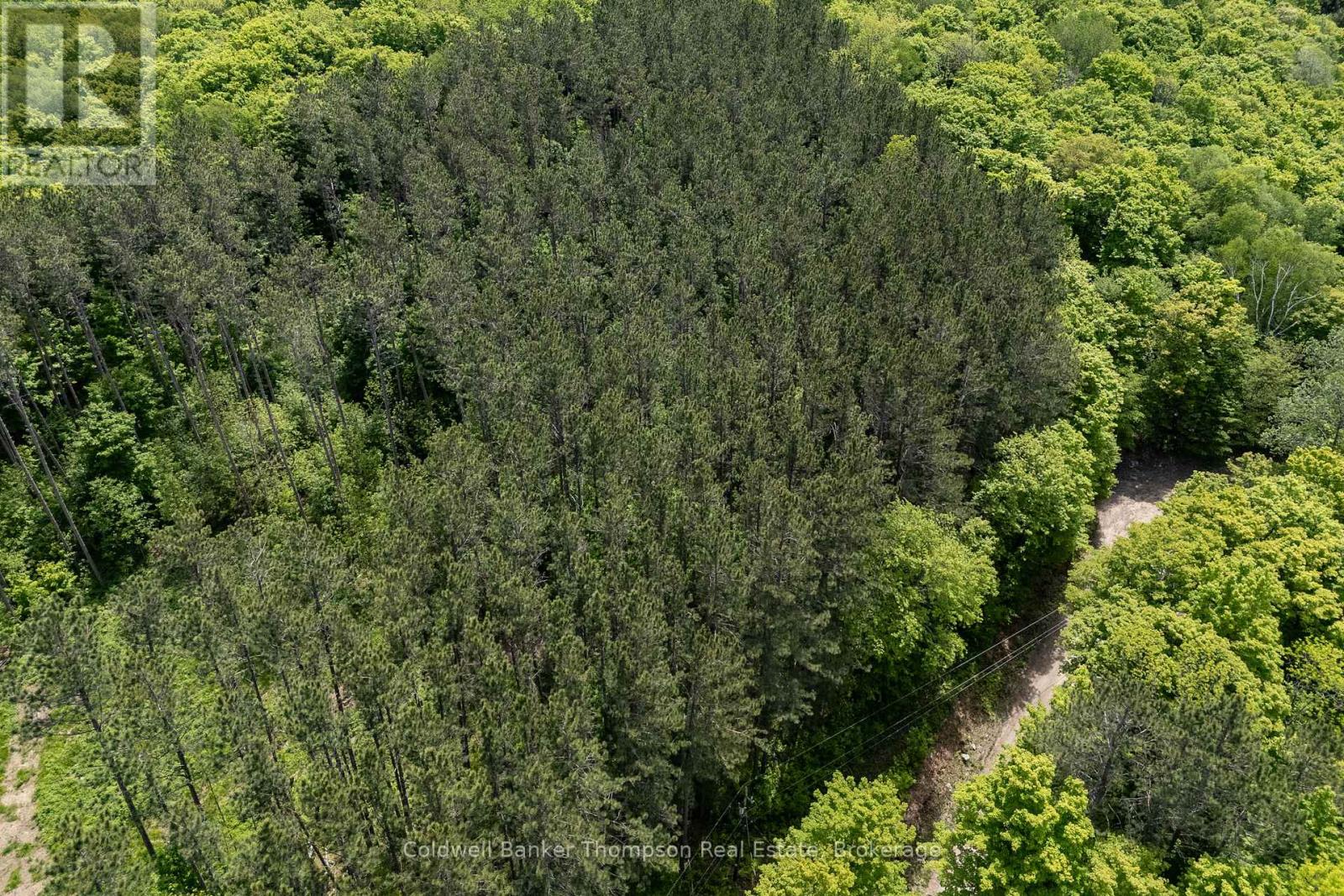 4 Snowshoe Lane, Armour, Ontario  P0A 1L0 - Photo 10 - X13227184