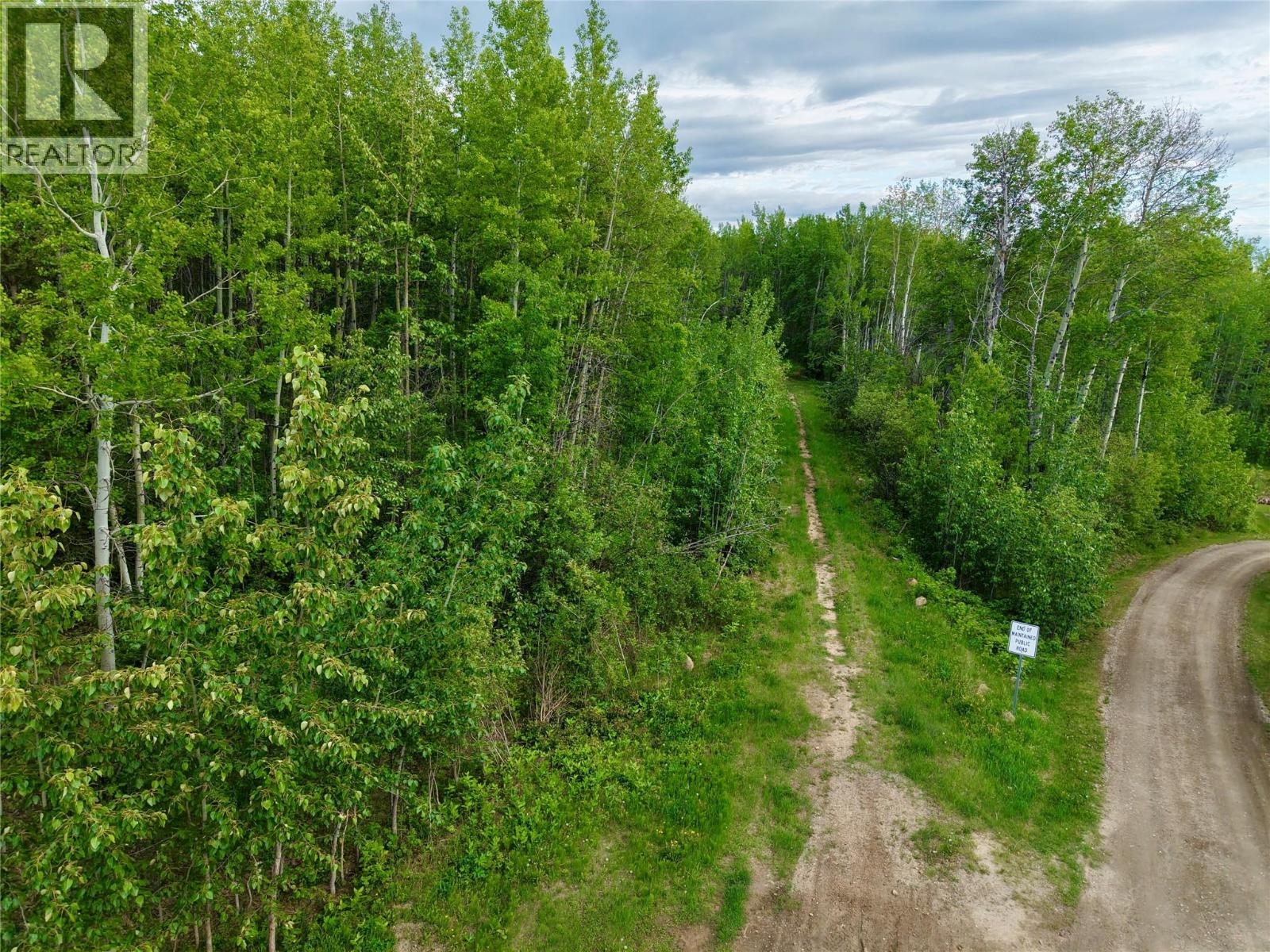 Lot 1 Kendrew Subdivision, Pouce Coupe, British Columbia  V0C 2C0 - Photo 5 - 10390832
