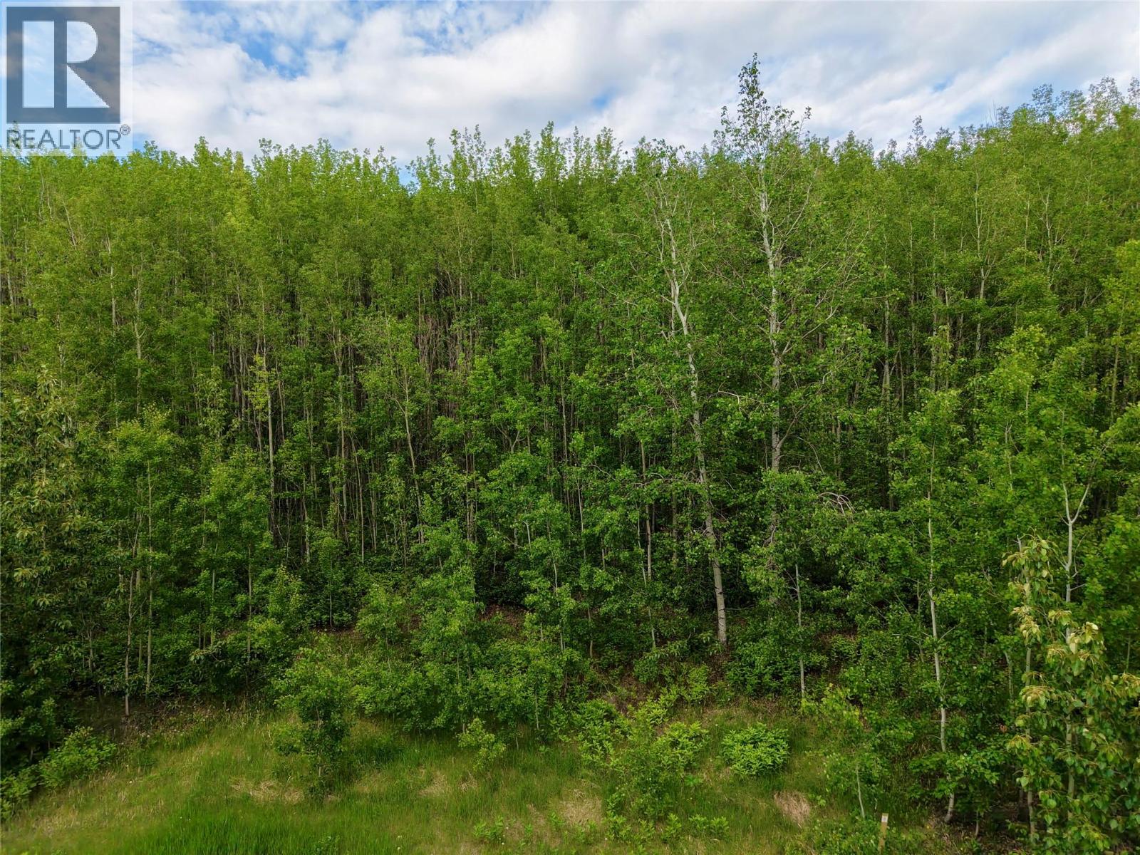Lot 1 Kendrew Subdivision, Pouce Coupe, British Columbia  V0C 2C0 - Photo 6 - 10390832