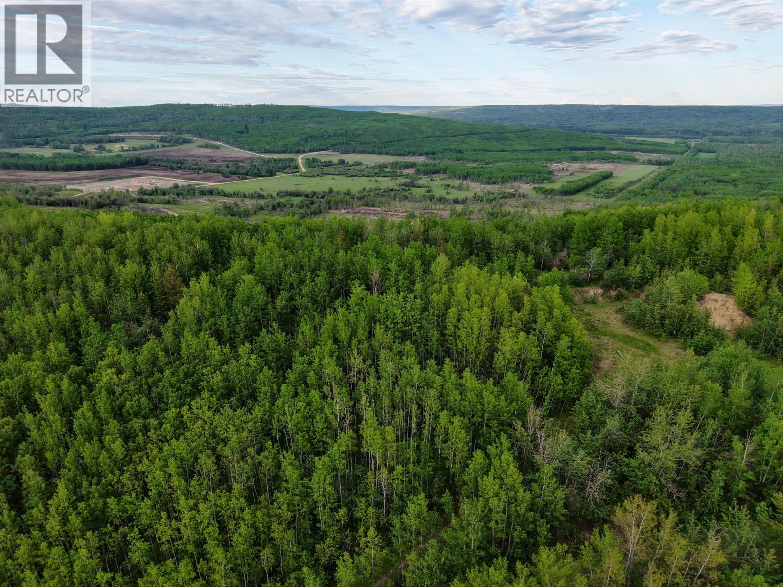 Lot 1 Kendrew Subdivision, Pouce Coupe, British Columbia  V0C 2C0 - Photo 7 - 10390832