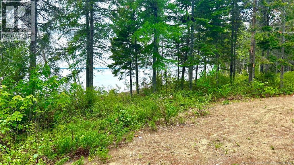 140 Grand Dune, Barryville, New Brunswick  E9G 4H6 - Photo 21 - NB137238