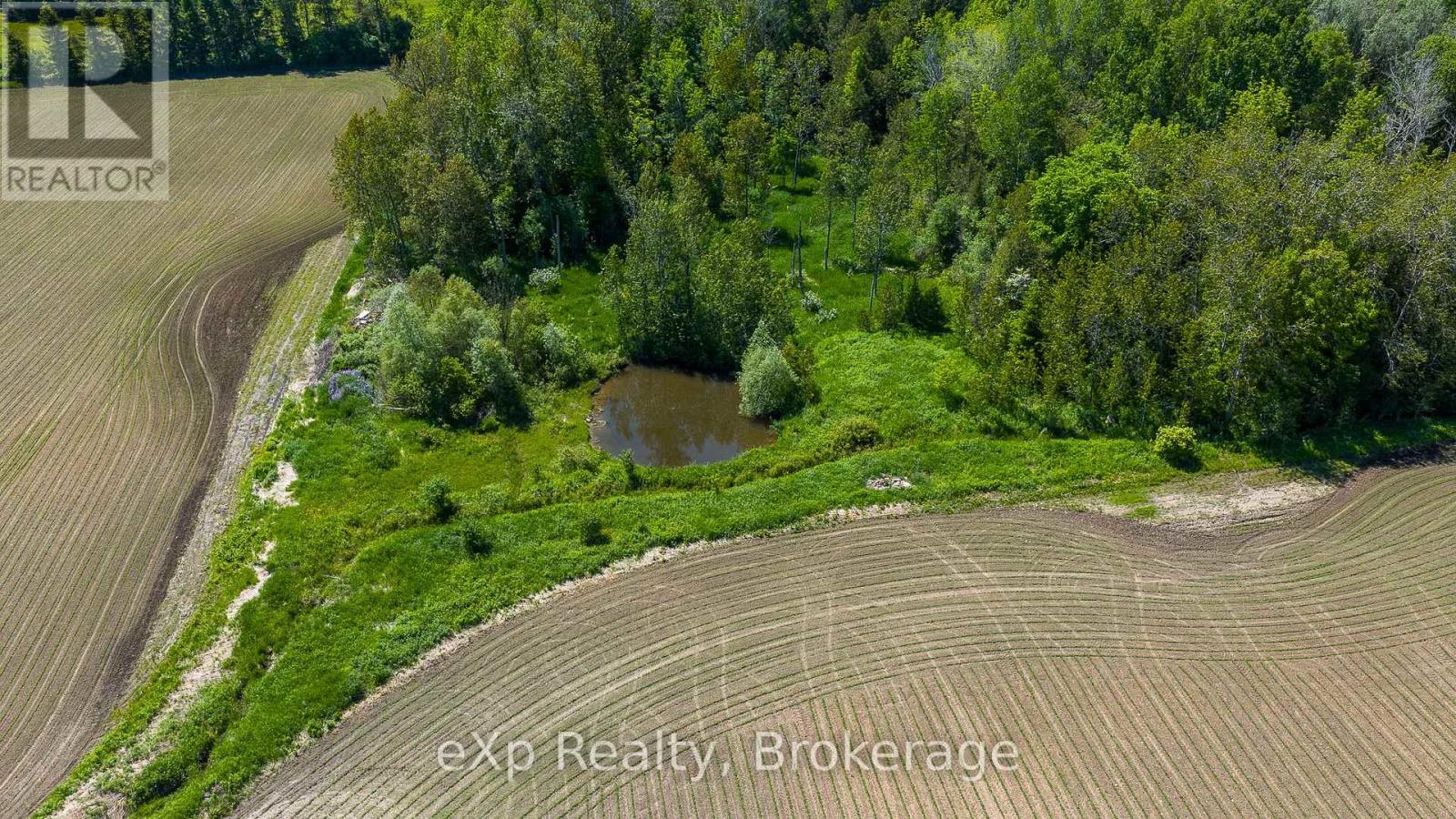 145842 Grey Road 12, Meaford, Ontario  N4L 1W5 - Photo 39 - X13428004
